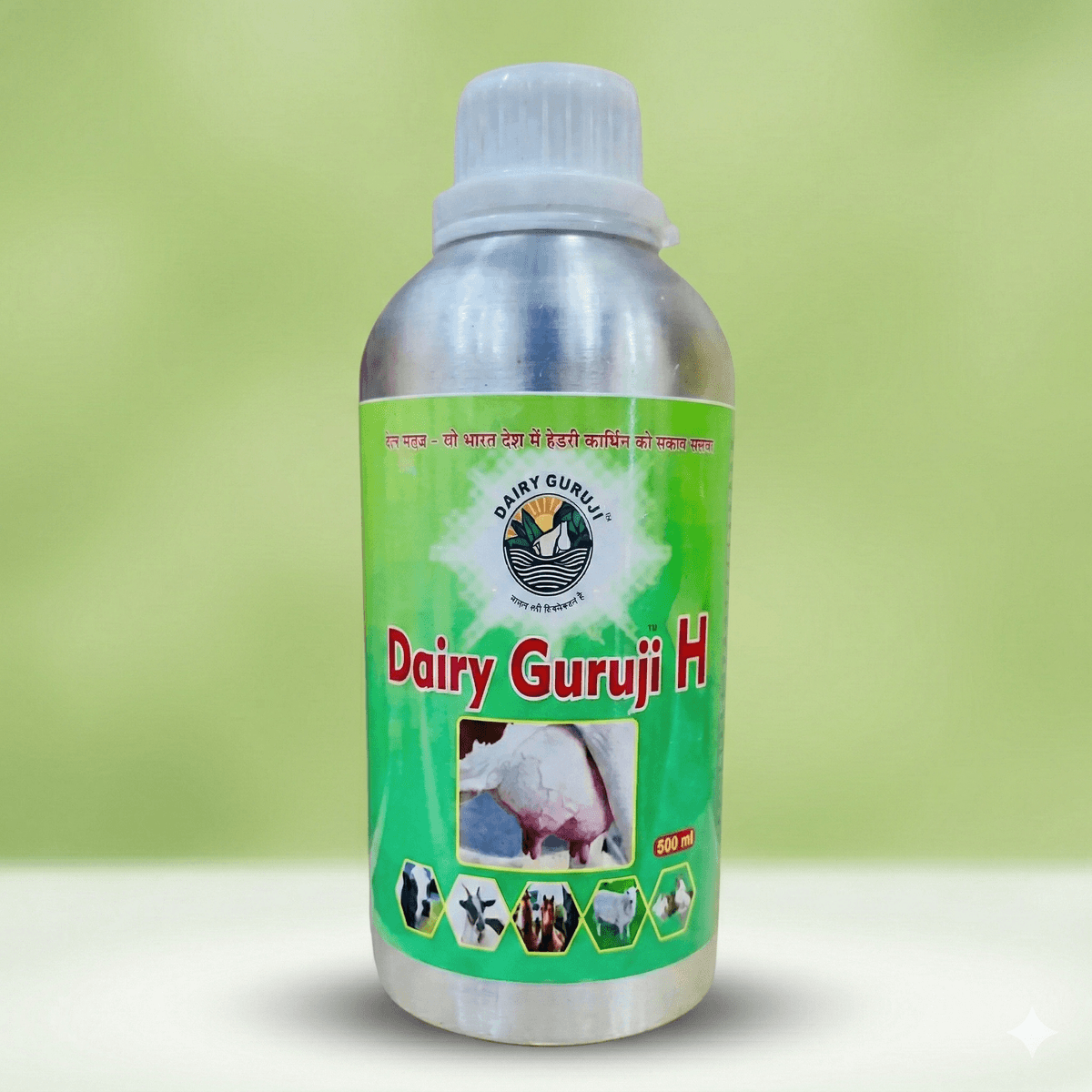 Dairy Guru Ji H