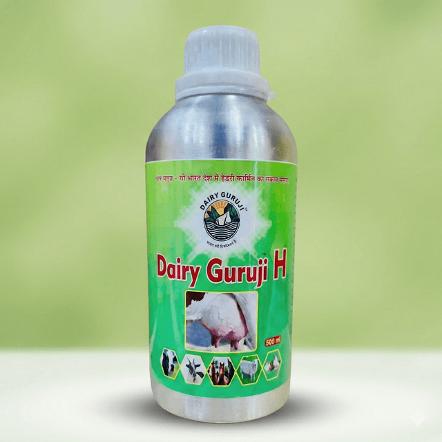 Dairy Guru Ji H